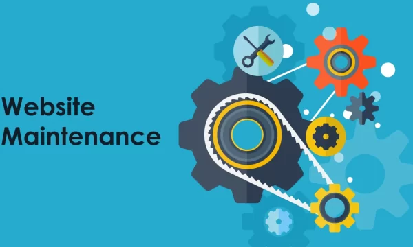 Website Maintenance and Support
